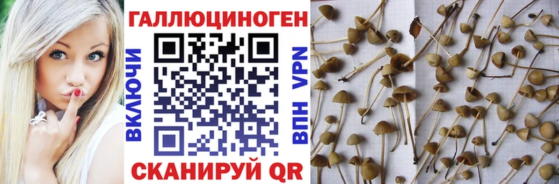 Псилоцибиновые грибы мухоморы  Мариинск 